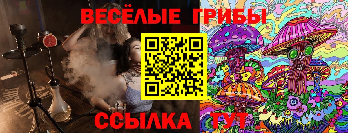 Мирный  Галлюциногенные грибы Magic Shrooms  закладки  Вход с VPN 